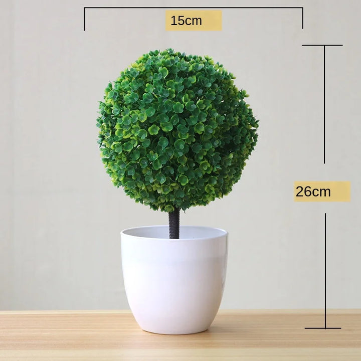 Liten Träkruka Bonsai Växter