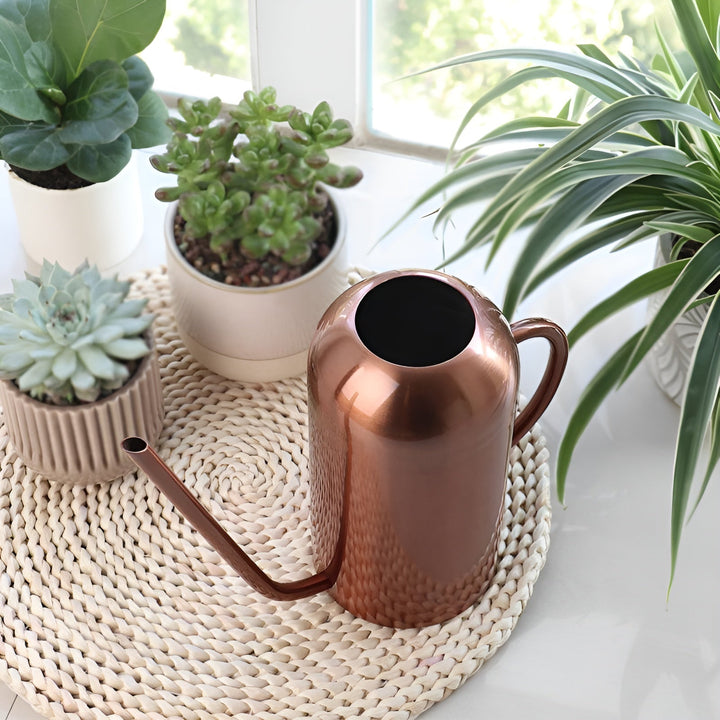 Rostfri Stål Hällare - 1.5L Lång Vattnare för Växter och Blommor