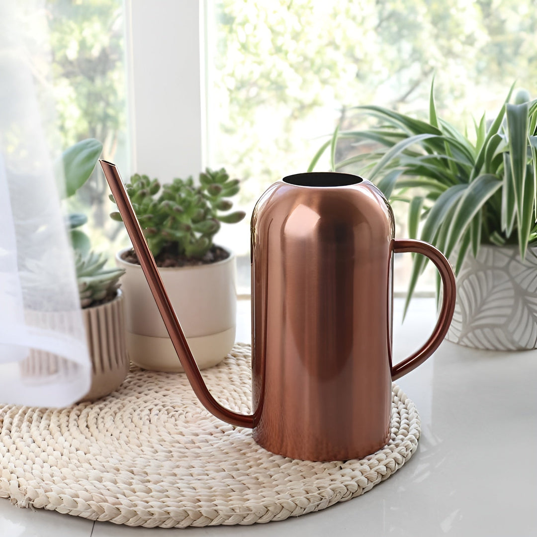 Rostfri Stål Hällare - 1.5L Lång Vattnare för Växter och Blommor