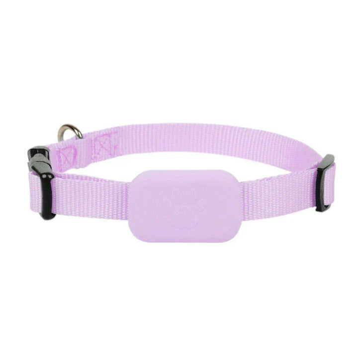 AnimalTracker Mini – Smart Bluetooth-halsband för hundar och katter