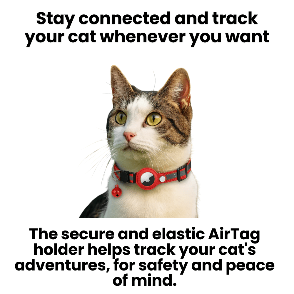 GPS-halsband för katter med reflekterande design