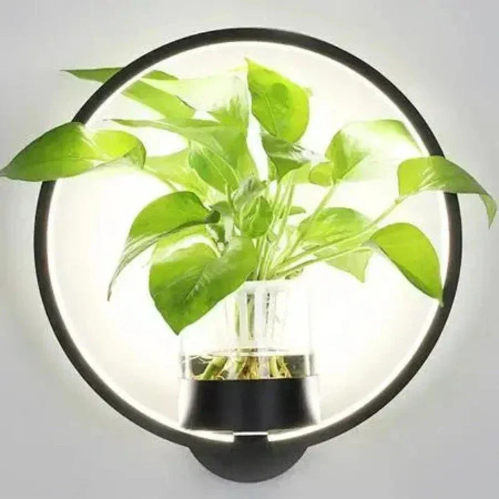 Luminaire Sconce - Vägglampa med växt