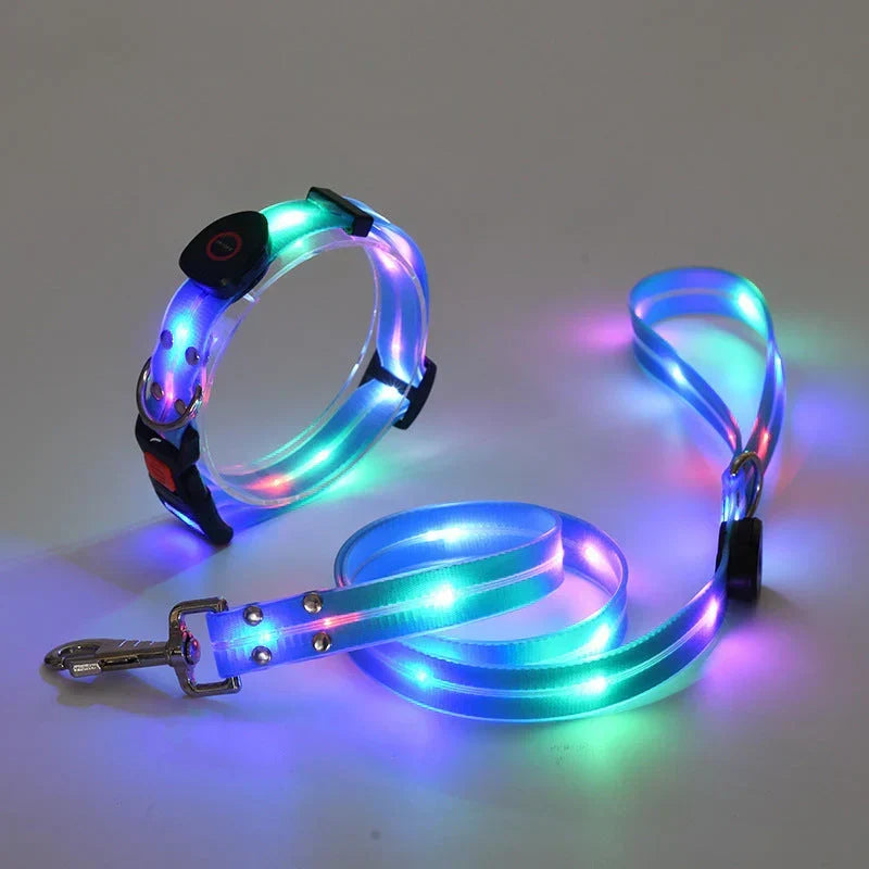 LED Hundhalsband med Koppel – NightBright