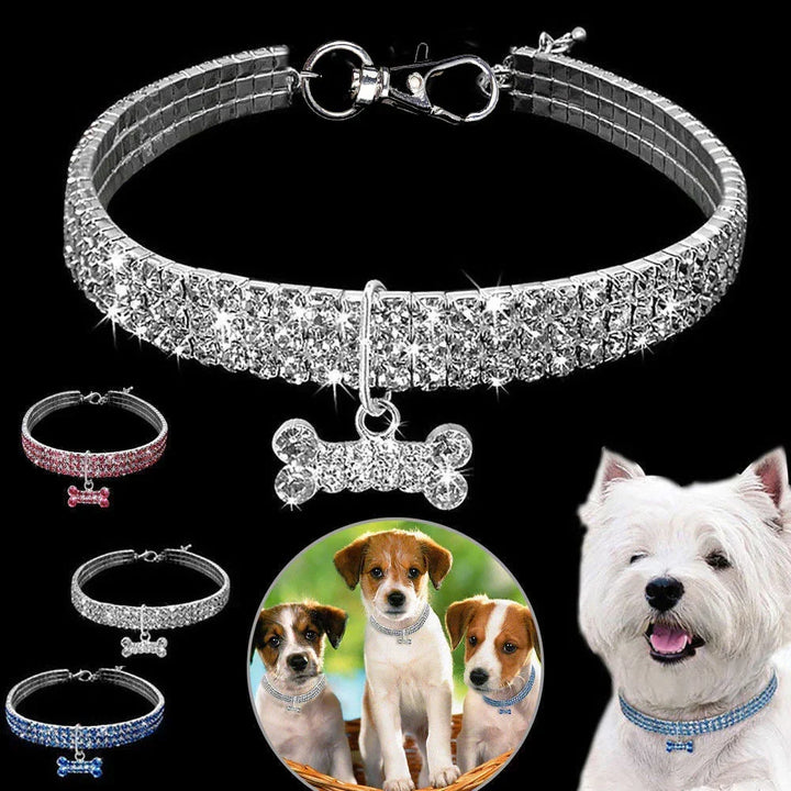 Glamorös Hundhalsband – SparkleCollar