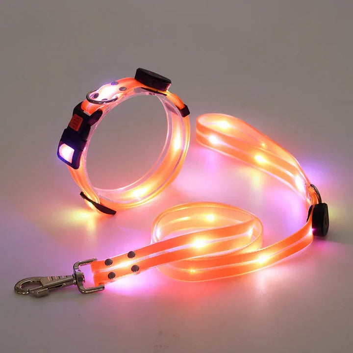 LED Hundhalsband med Koppel – NightBright