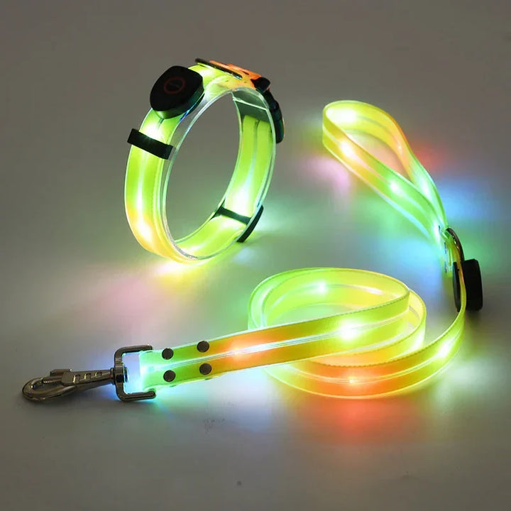 LED Hundhalsband med Koppel – NightBright