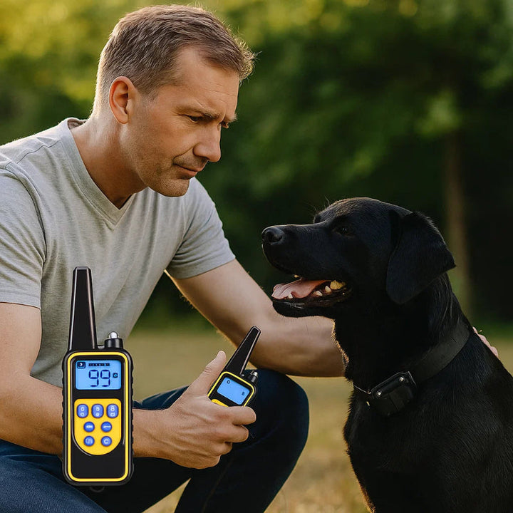 Vattentålig hundträningshalsband med fjärrkontroll och 3 lägen