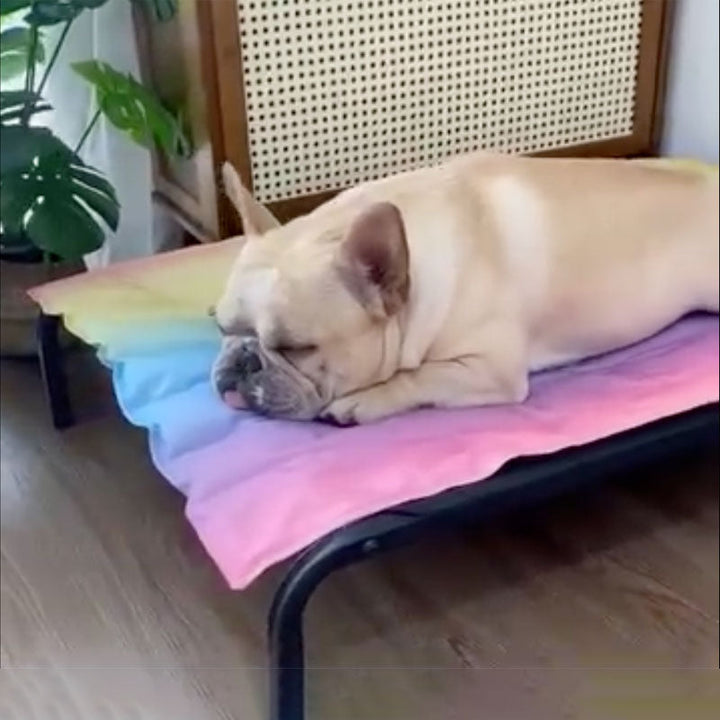 IcePup Frenchie Sommar Kylmatta med Avancerad Is Teknik |