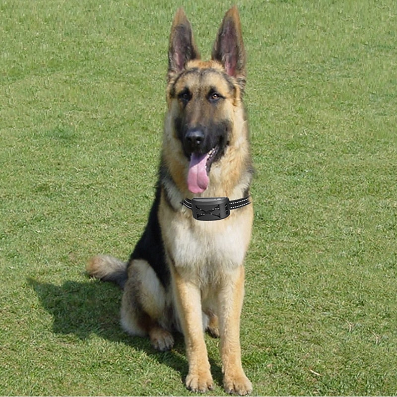 Trådlöst Hundstängsel System med Justerbart Vattentåligt Halsband – Upp till 240 Meter Räckvidd