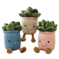 Planta Plush