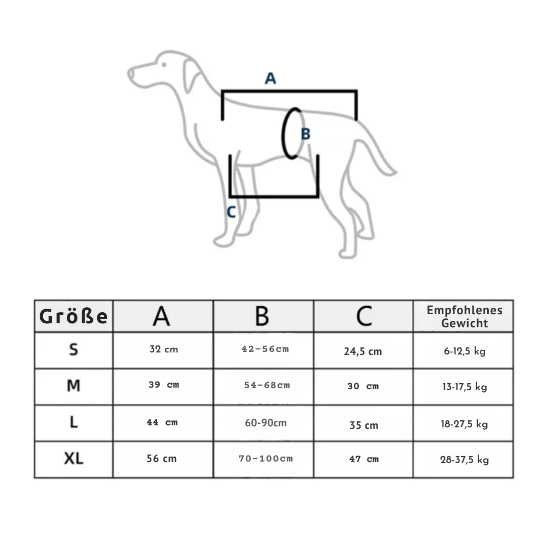 Reha-Hundsele med Stabilt Bärhandtag