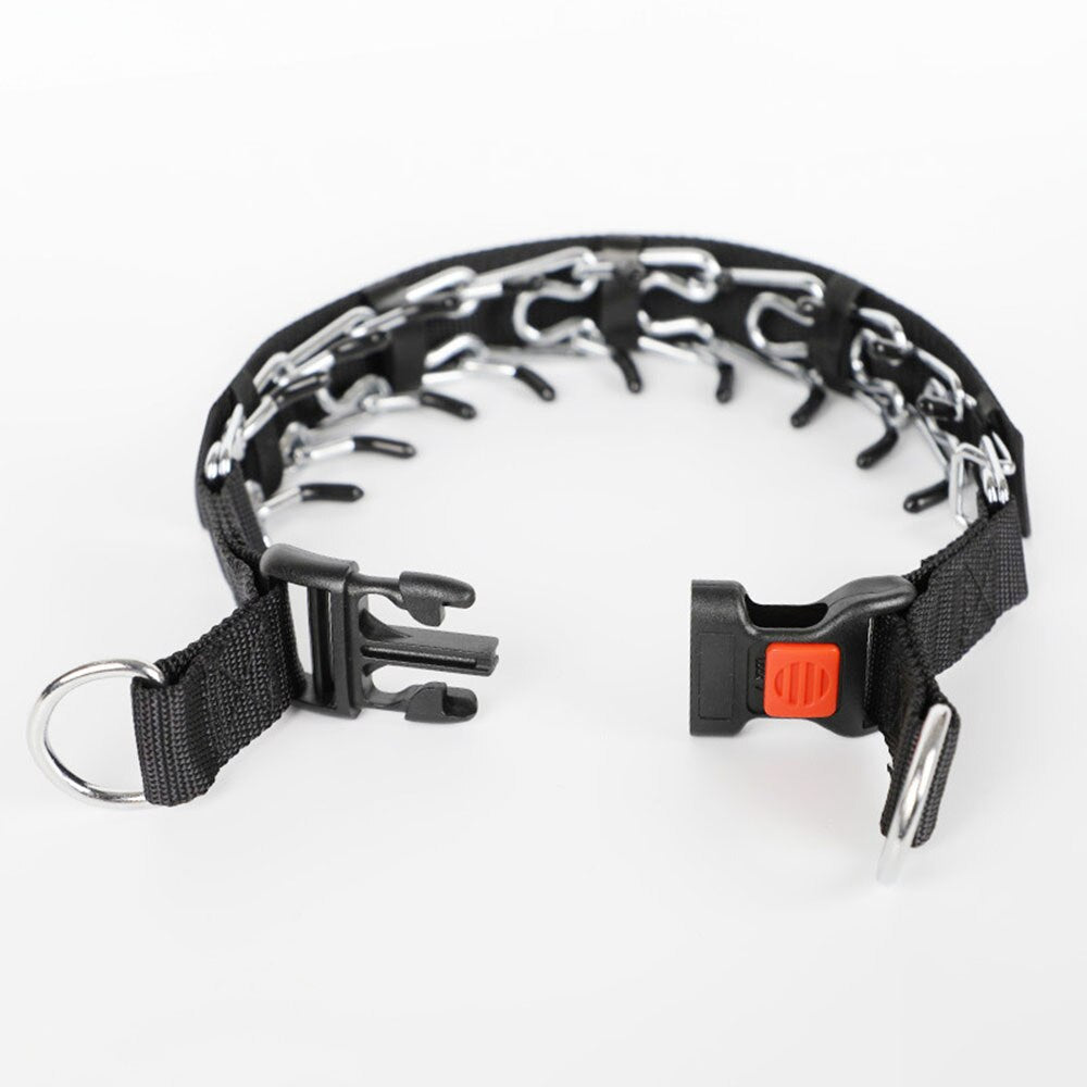 Hund Pincher Halsband Stil C