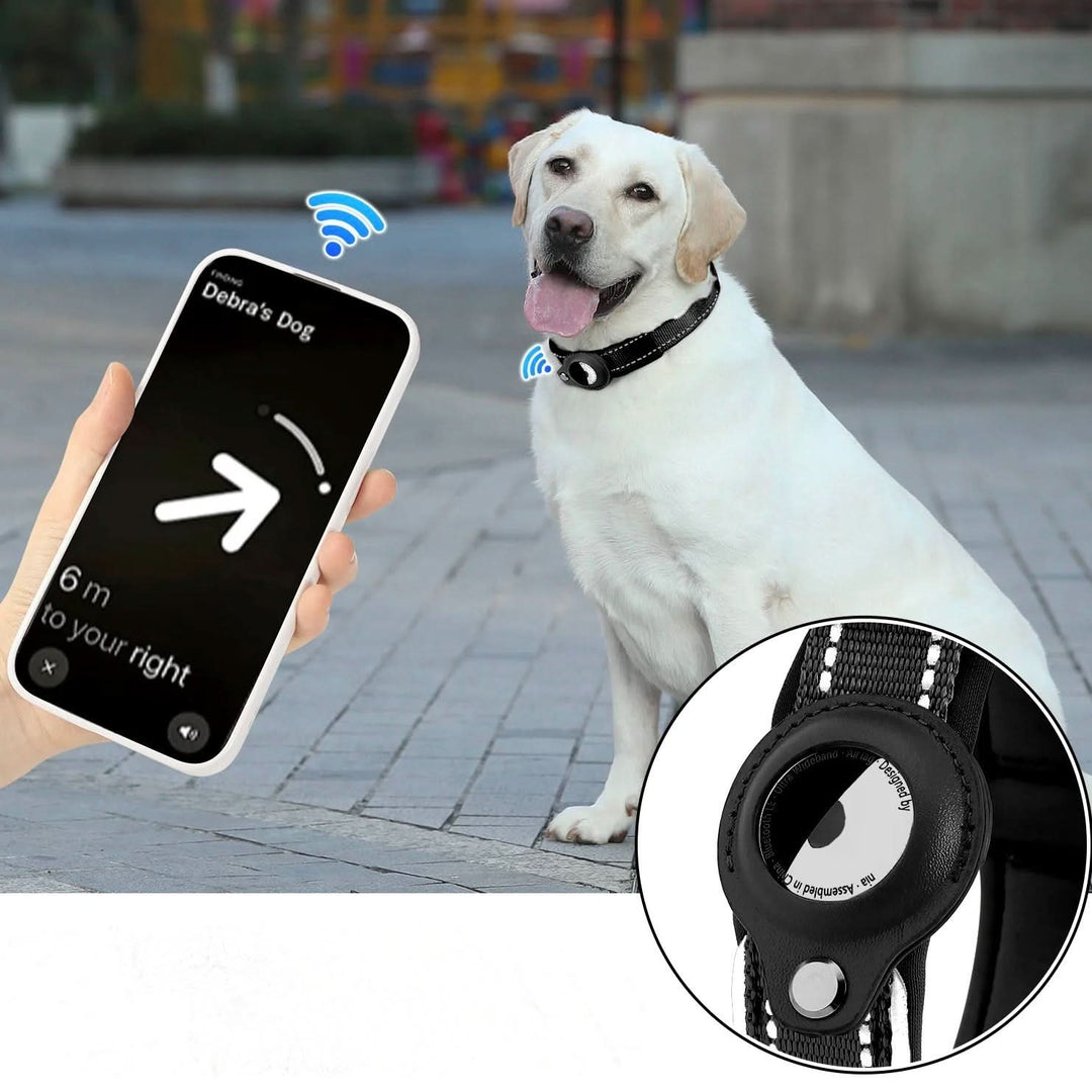 LEAZO - AirTag Hundhalsband