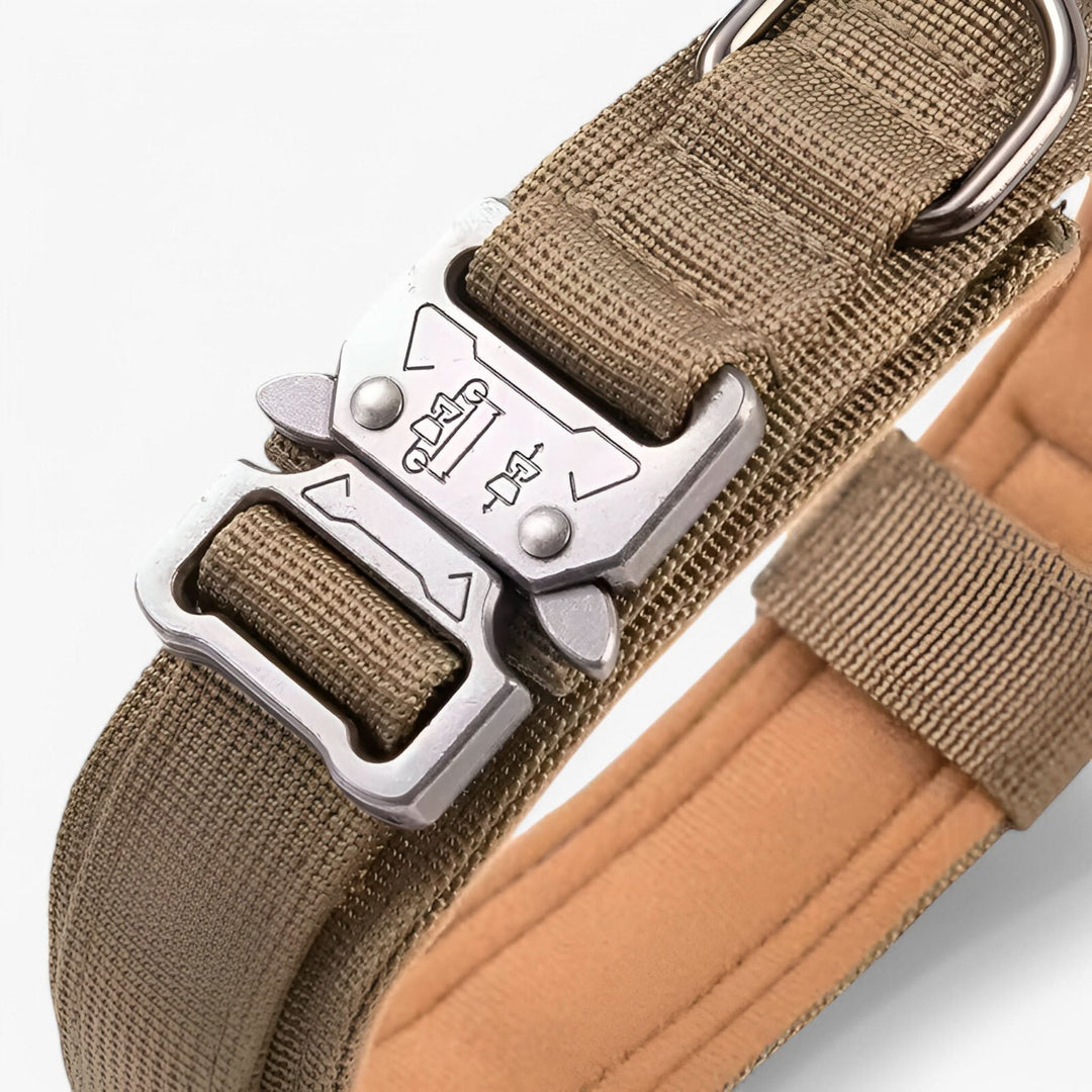 OutdoorHeld Hundhalsband – För aktiva hundar med uthållighet