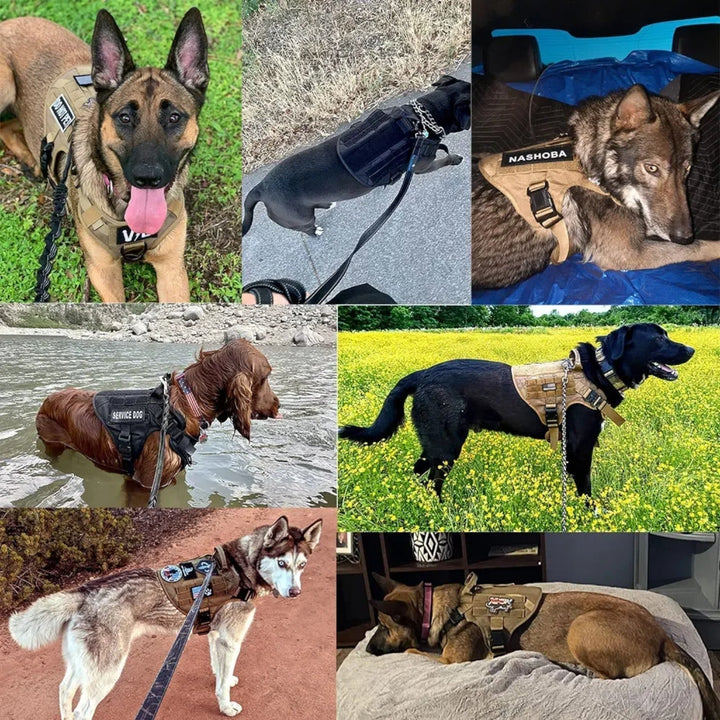 KrachtGrip Hundsele – Justerbar Taktisk Sele för Träning och Promenader