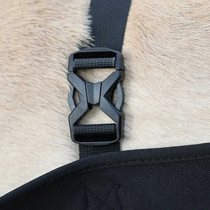 Reha-Hundsele med Stabilt Bärhandtag