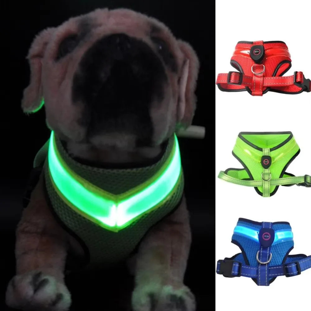 LED Hundsele USB-laddningsbar &amp; justerbar