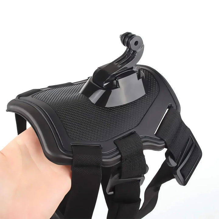 Action-Kamera Hundsele med 360° Perspektiv