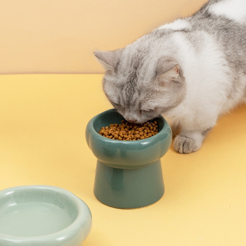 Luna Keramiska Upphöjda Kattskålar