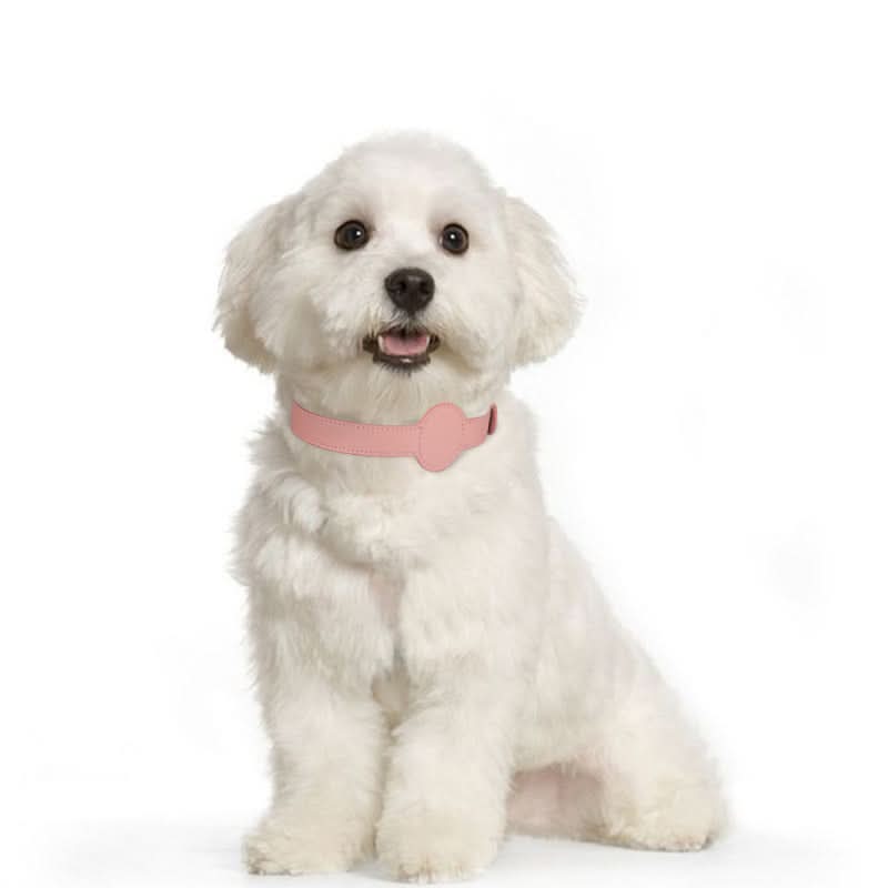 Hundhalsband med integrerat AirTag-fäste för säkerhet och stil