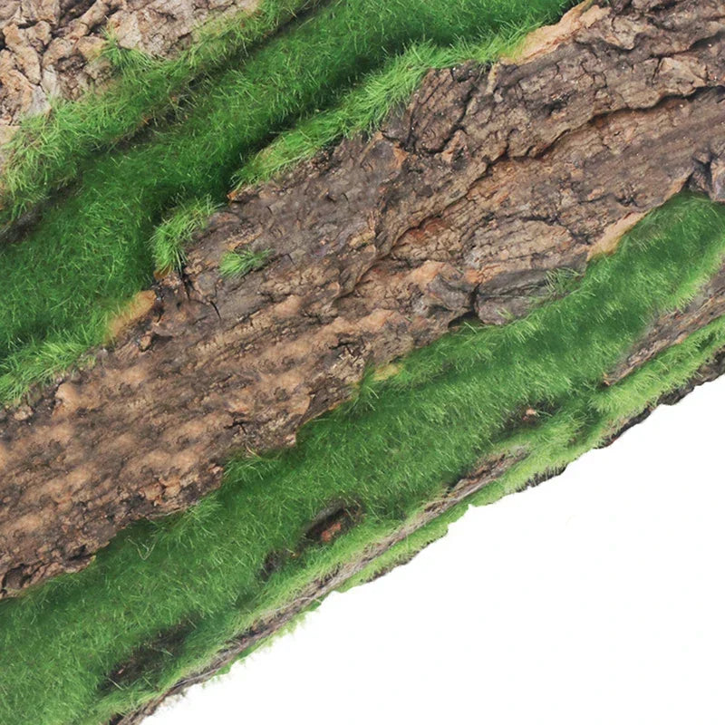 DIY Väggdekoration Grön Växt Bark