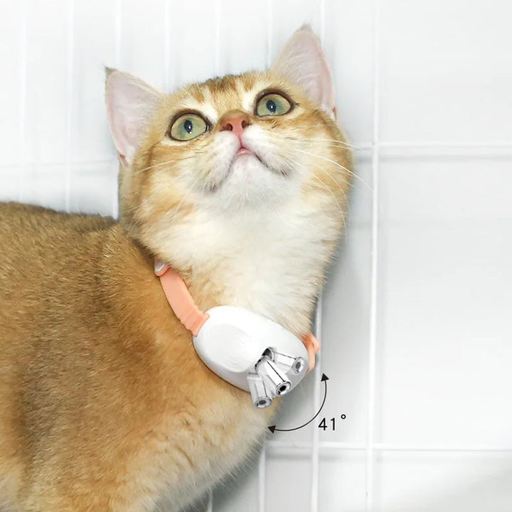 Freesthetic Laserhalsband för Katter