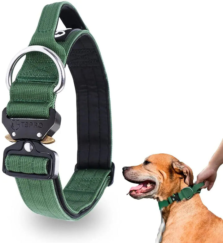 Taktisk Hundhalsband med Metallspänne &amp; Handtag