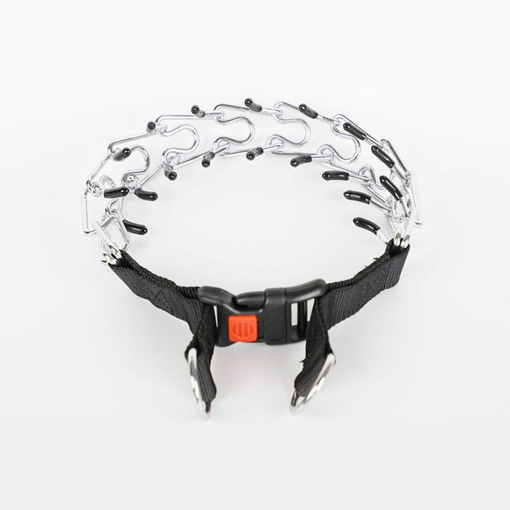 Hund Pincher Halsband Stil C