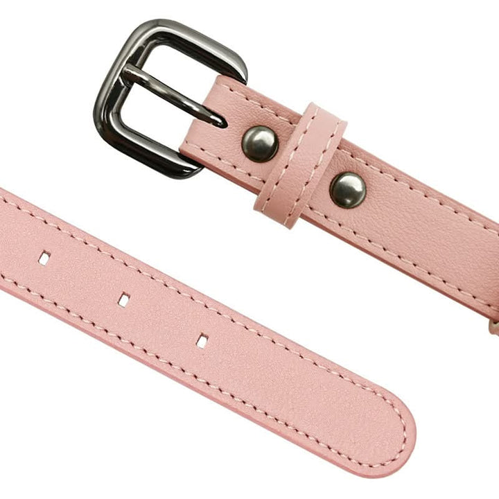 Hundhalsband med integrerat AirTag-fäste för säkerhet och stil
