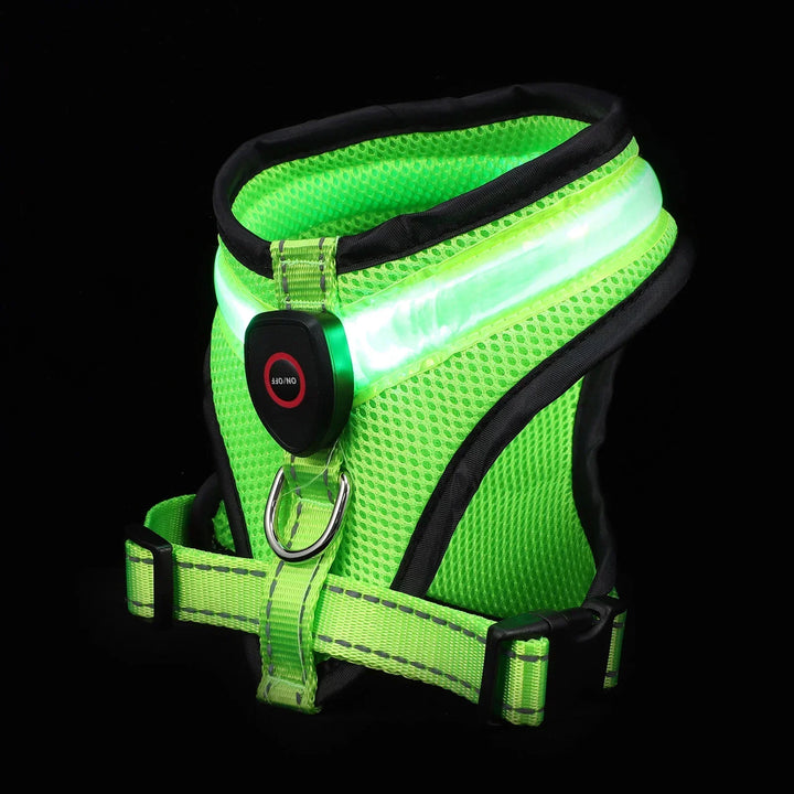 LED Hundsele USB-laddningsbar &amp; justerbar