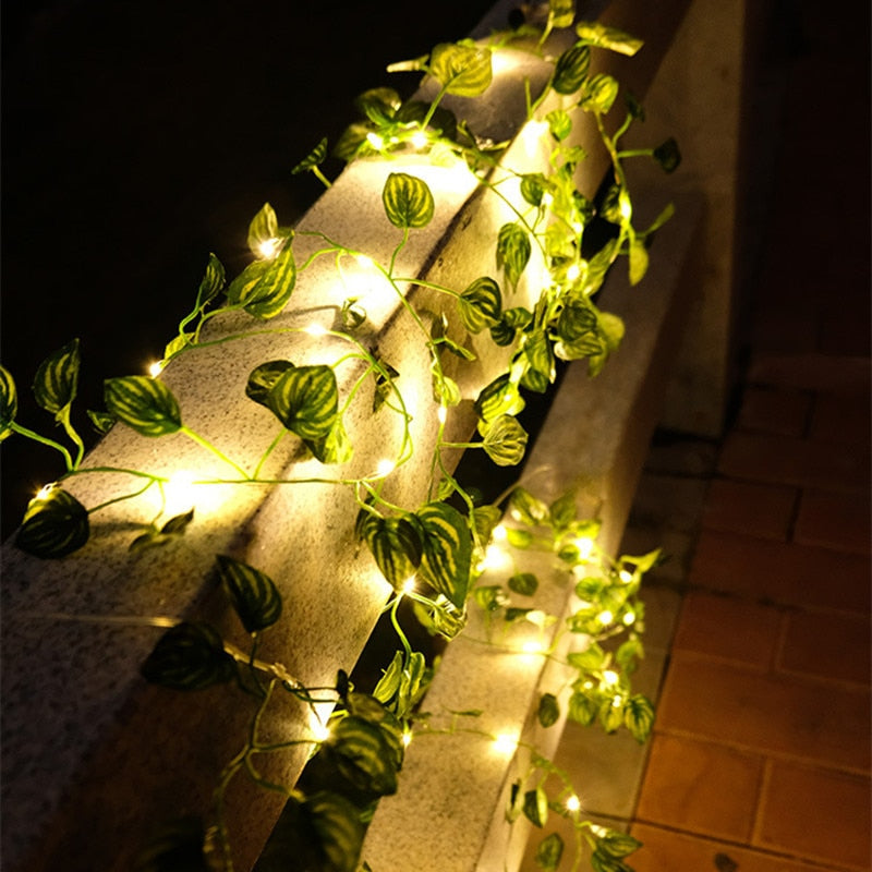 Trädgårdsvin LED-ljusslingor