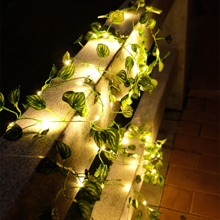 Trädgårdsvin LED-ljusslingor
