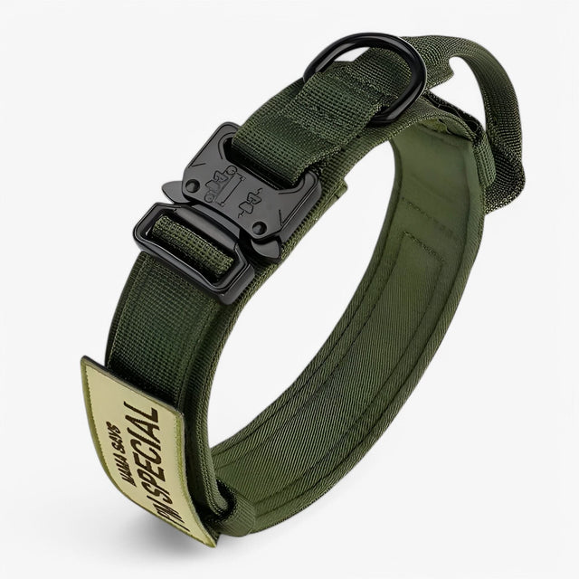 OutdoorHeld Hundhalsband – För aktiva hundar med uthållighet