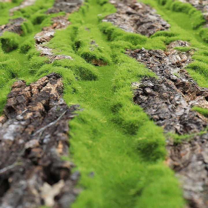 DIY Väggdekoration Grön Växt Bark