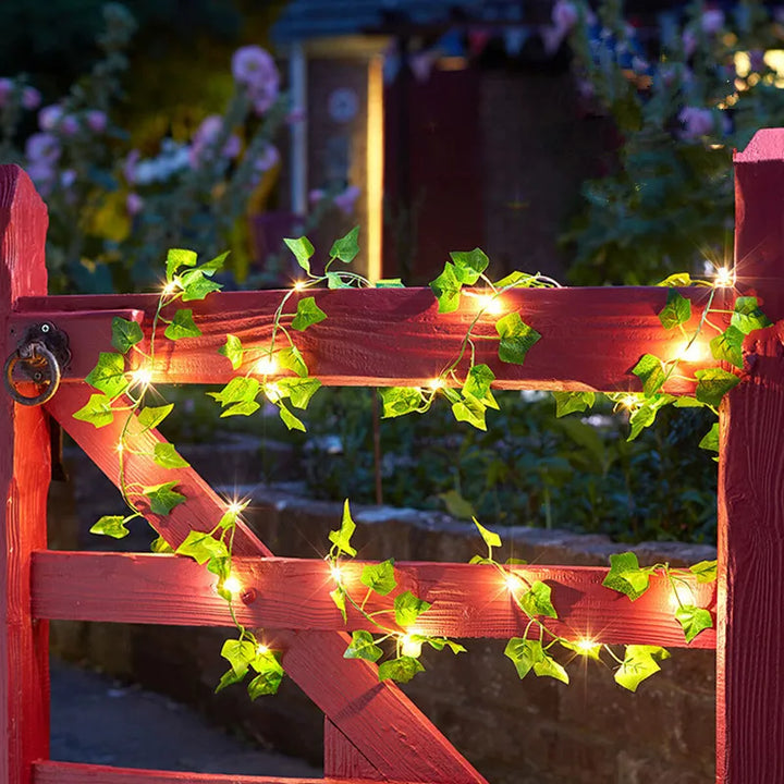 Trädgårdsvin LED-ljusslingor