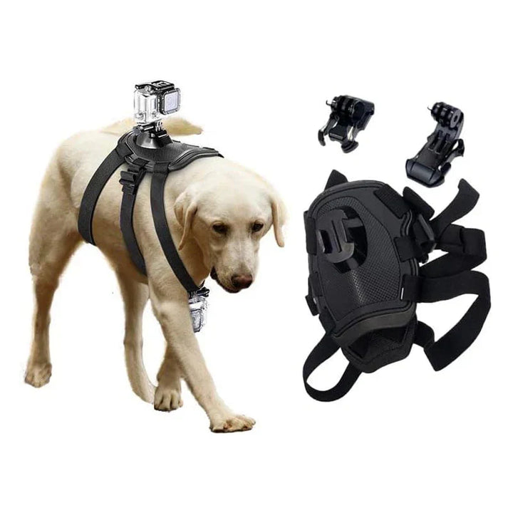 Action-Kamera Hundsele med 360° Perspektiv