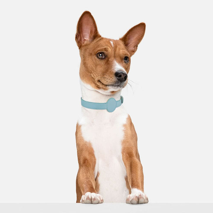 Hundhalsband med integrerat AirTag-fäste för säkerhet och stil