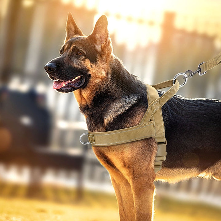 Justerbar Reflekterande Hundsele med Handtag för Alla Hundraser