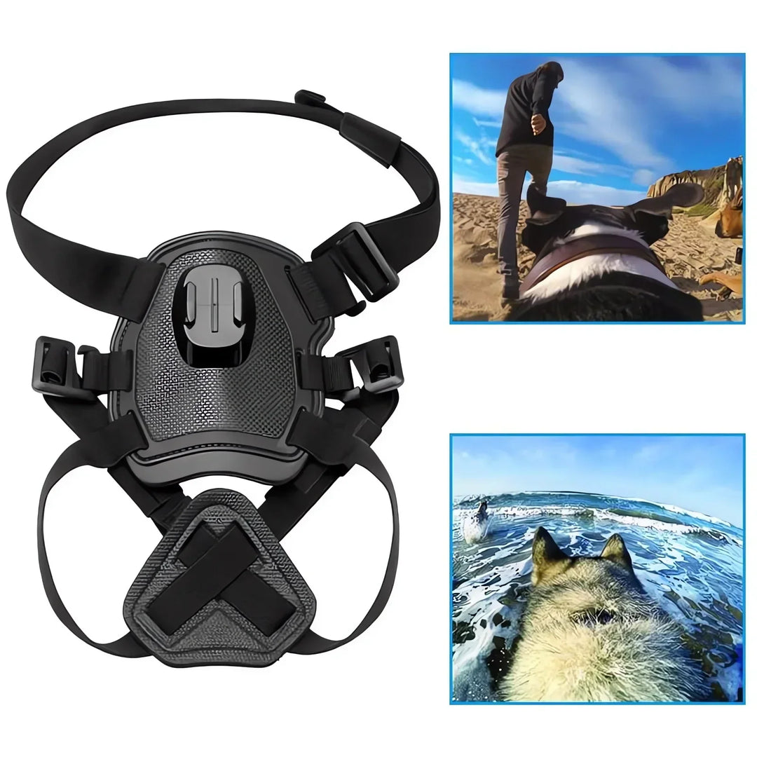 Action-Kamera Hundsele med 360° Perspektiv