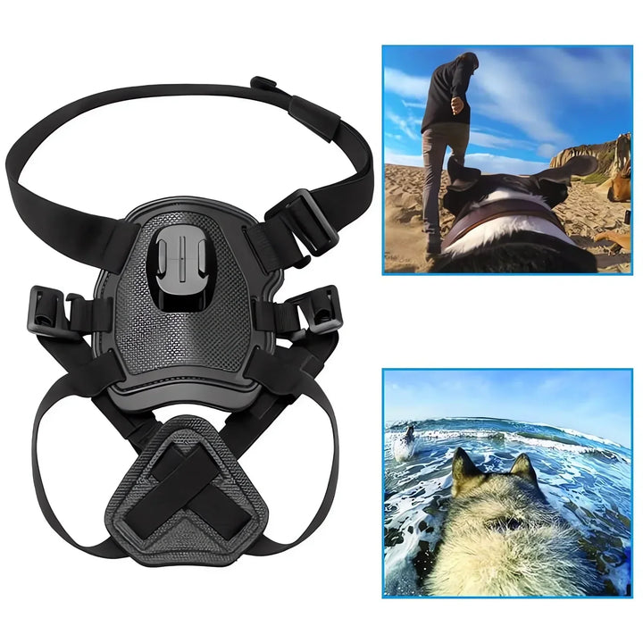 Action-Kamera Hundsele med 360° Perspektiv
