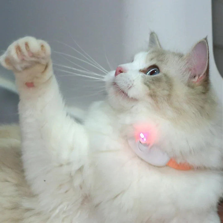 Freesthetic Laserhalsband för Katter