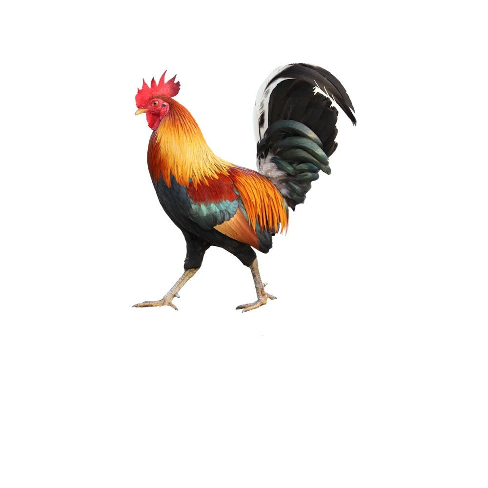 Trädgårdsfigur: Fjäderprydnad
