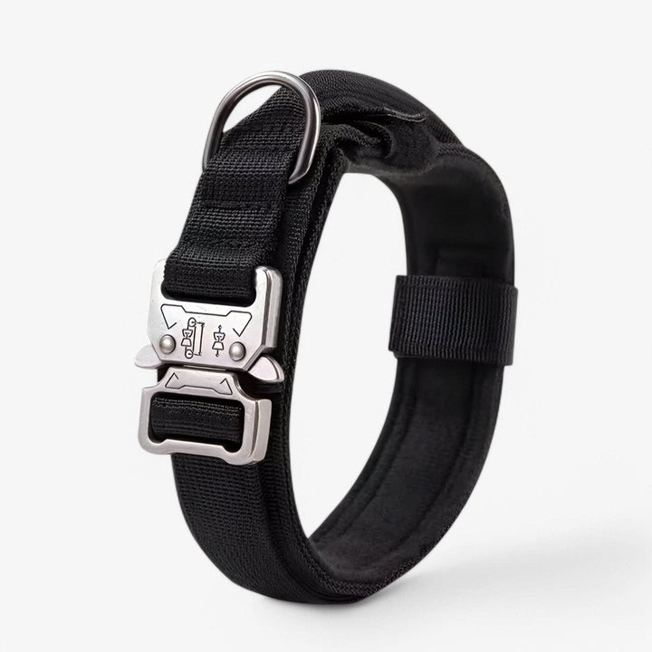 Hållbar &amp; Justerbar Hundhalsband för Träning &amp; Vardagligt Användande