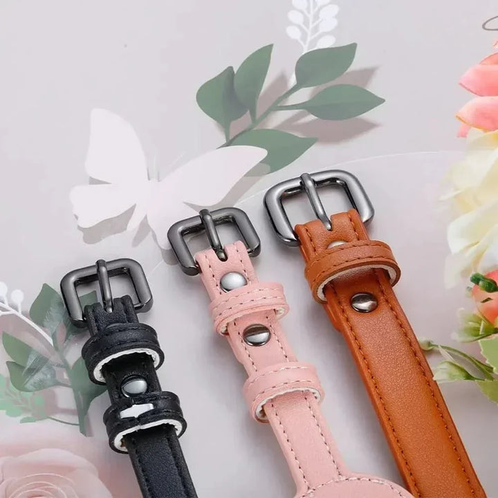 Hundhalsband med integrerat AirTag-fäste för säkerhet och stil