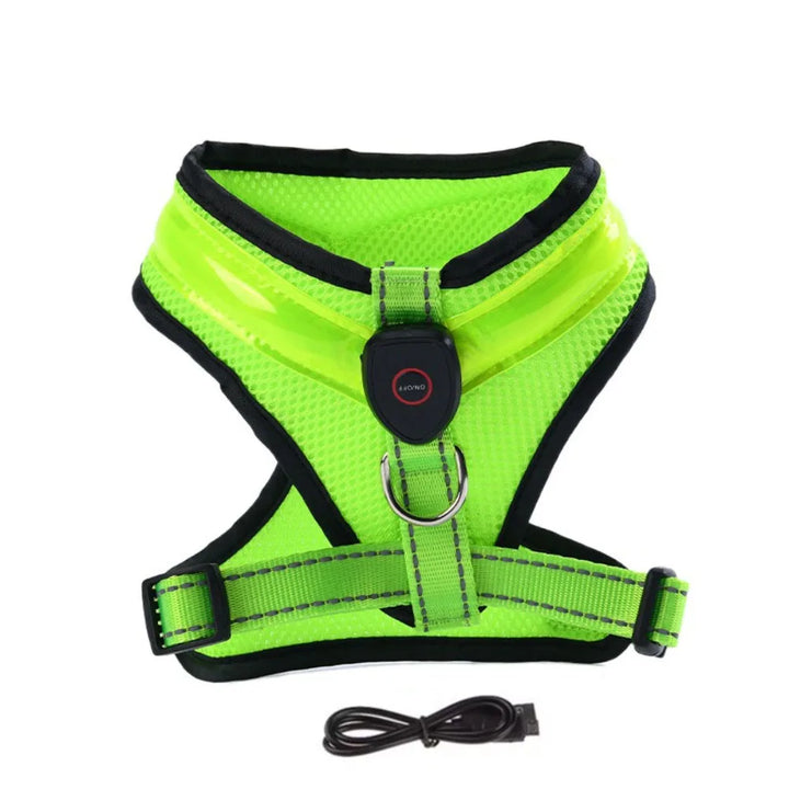 LED Hundsele USB-laddningsbar &amp; justerbar