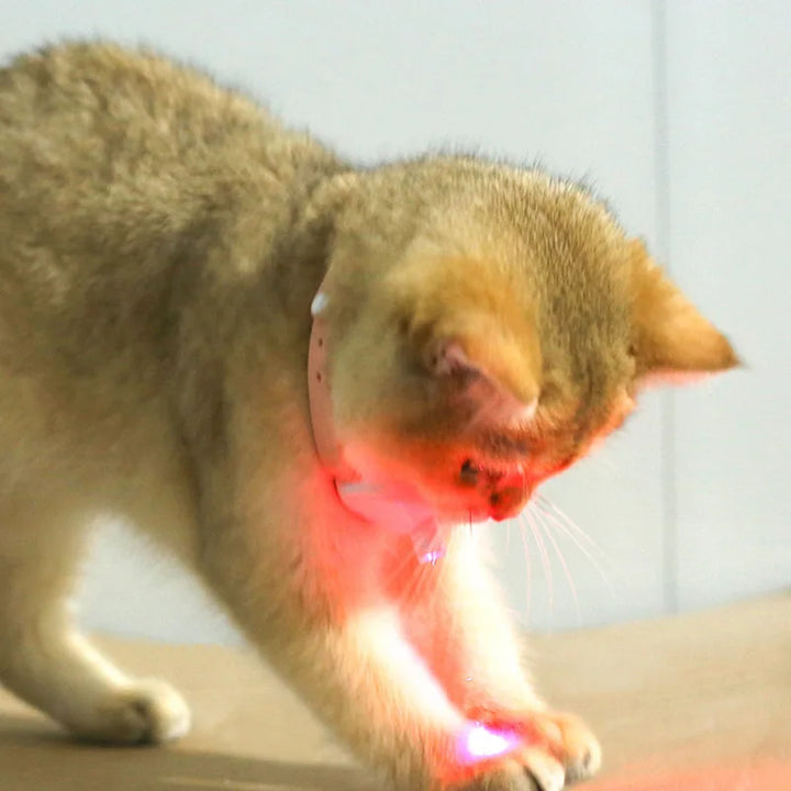 Freesthetic Laserhalsband för Katter