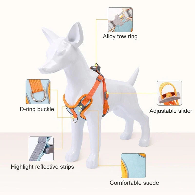 Reflekterande Valpharnes – PawSafe