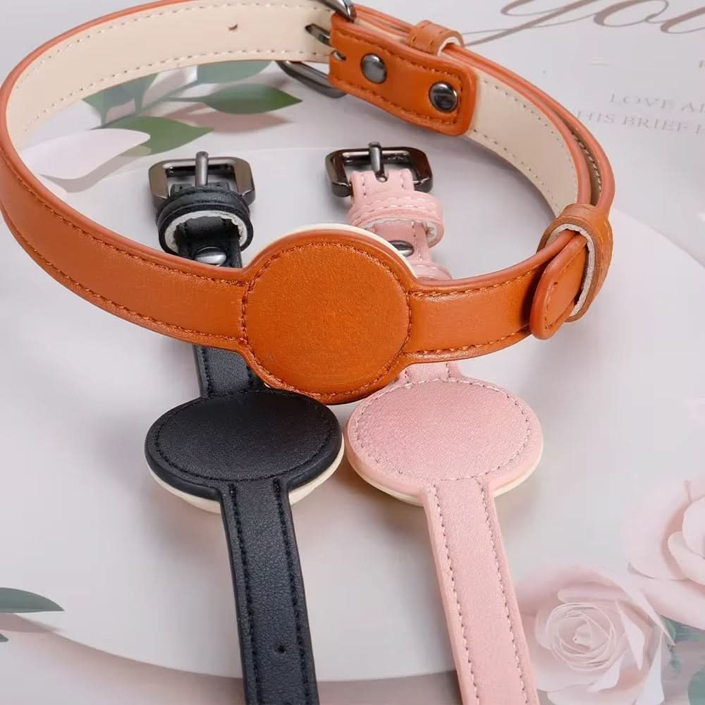 Hundhalsband med integrerat AirTag-fäste för säkerhet och stil