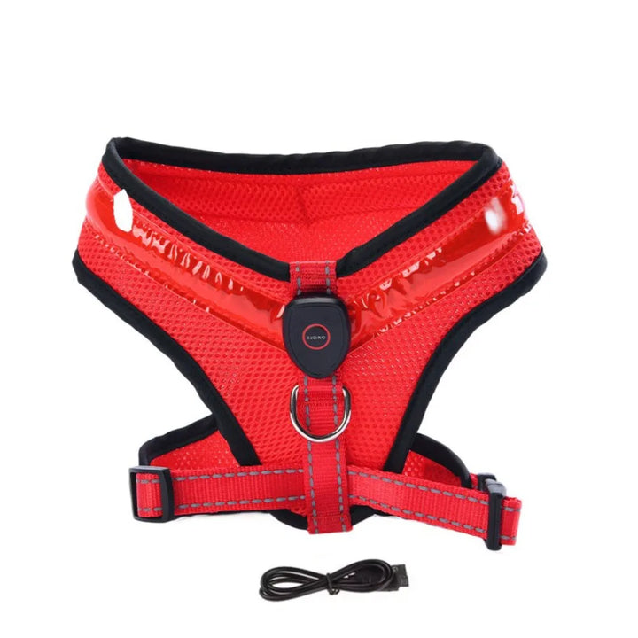 LED Hundsele USB-laddningsbar &amp; justerbar