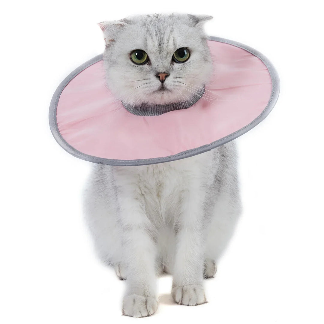 Katt skydds krage mjuk &amp; bekväm